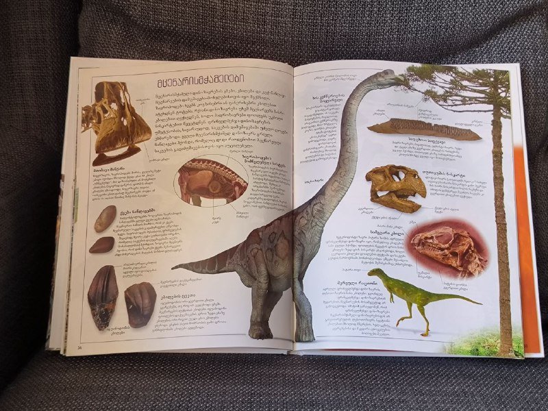 Книга про динозавров на грузинском языке 3