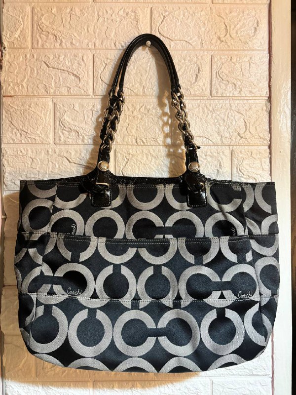 Coach Madison Canvas Hobo Bag, Coach Madison Tribeca Bag, Dolce & Gabbana Bag, Guess Bag 8
