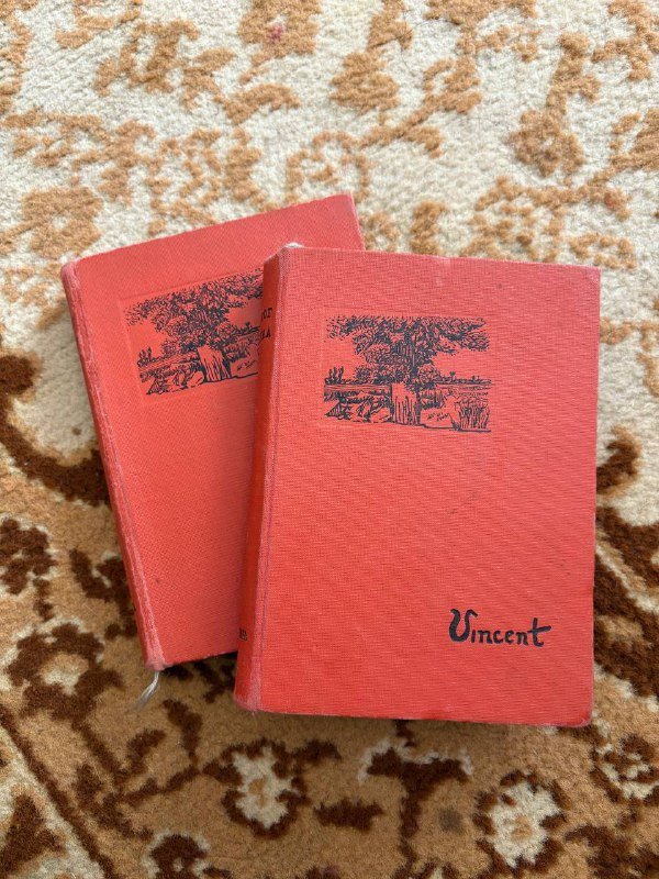 Жизнь Ван Гога и письма к брату Тео (2 книги) 4