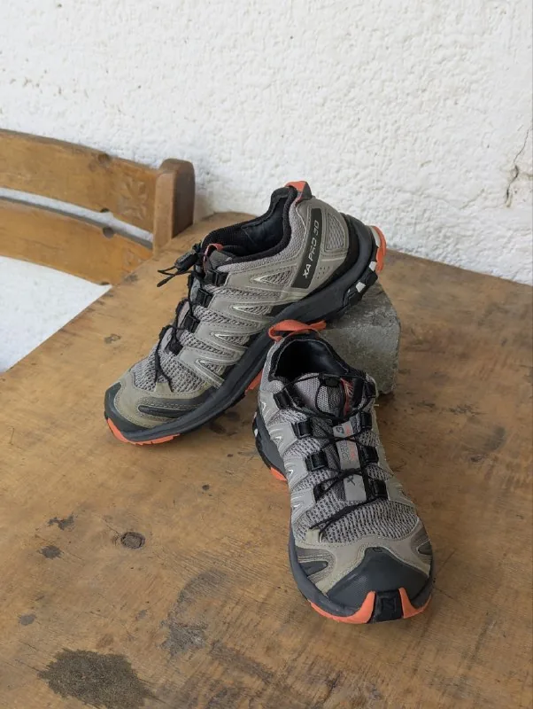 Кроссовки Salomon Xa Pro 3D 1