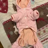 Новый комбинезон для собаки на флисе 2