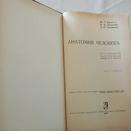 Анатомия человека