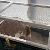 Закрытый кошачий лоток-шкаф 6