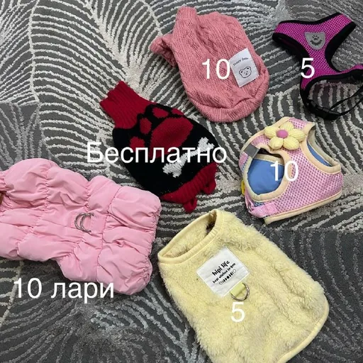 Шлейки, кофточка, курточка для собаки