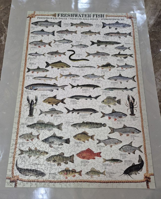 Пазл Eurographics Freshwater fish 1000 элементов 6