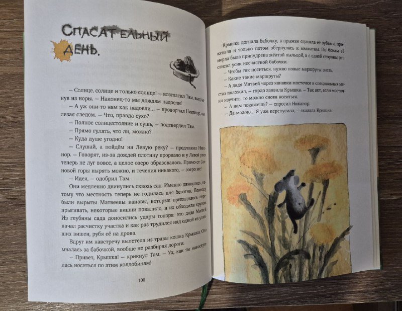 Детская книга Мышонок, который Там 7