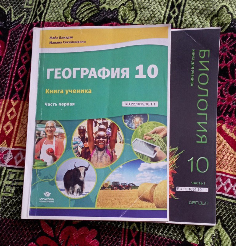 Книги на русском 10 класс, математика 3