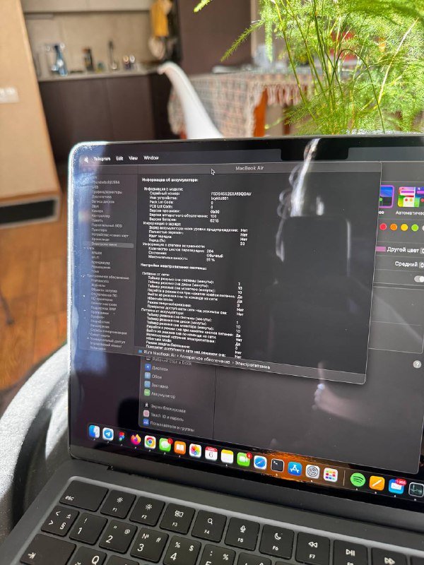 MacBook Air M3 16/512GB синий 2