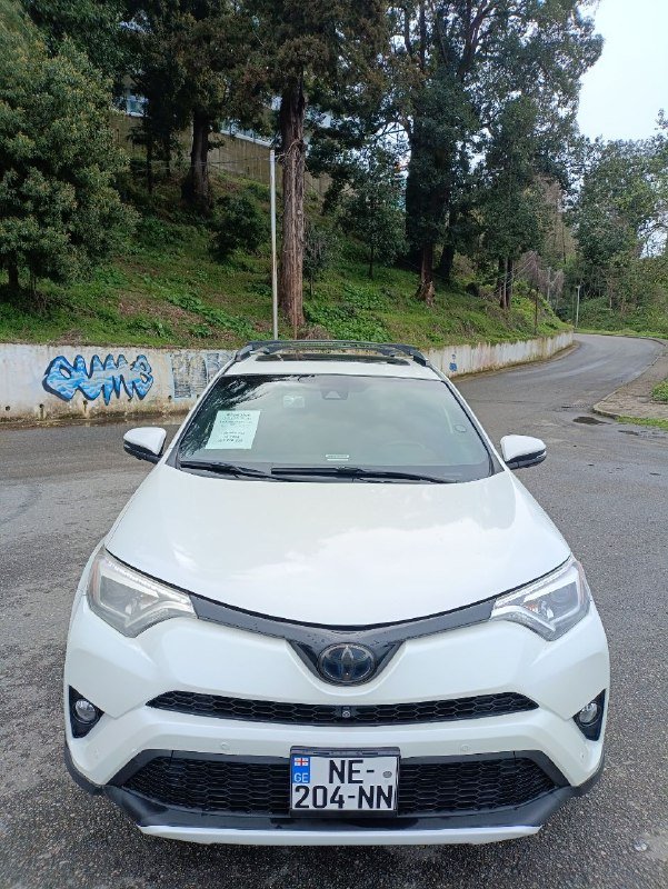 Toyota RAV4 Hybrid 8