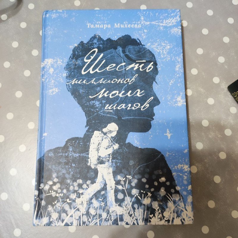 Книга Шесть миллионов моих шагов Михеева Тамара