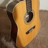 Акустическая гитара Washburn WD7S 2