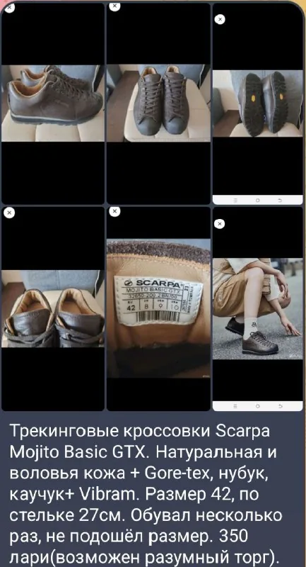 Треккинговые кроссовки Scarpa Mojito Basic GTX