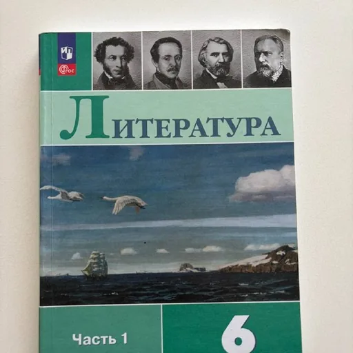 Учебники: алгебра, русский язык, литература