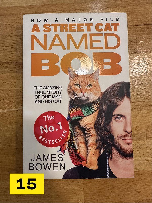 книги Street Cat named Bob, Red White Royal Blue, Enigma Variations, What if It's Us, Hollow City, Library of Souls, Искусство любить, Погребенная лоза