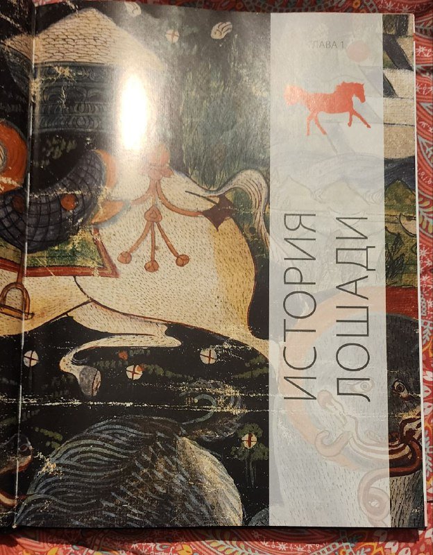 Энциклопедия ЛОШАДИ от истории до ухода 2