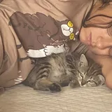 Котенок в добрые руки 1