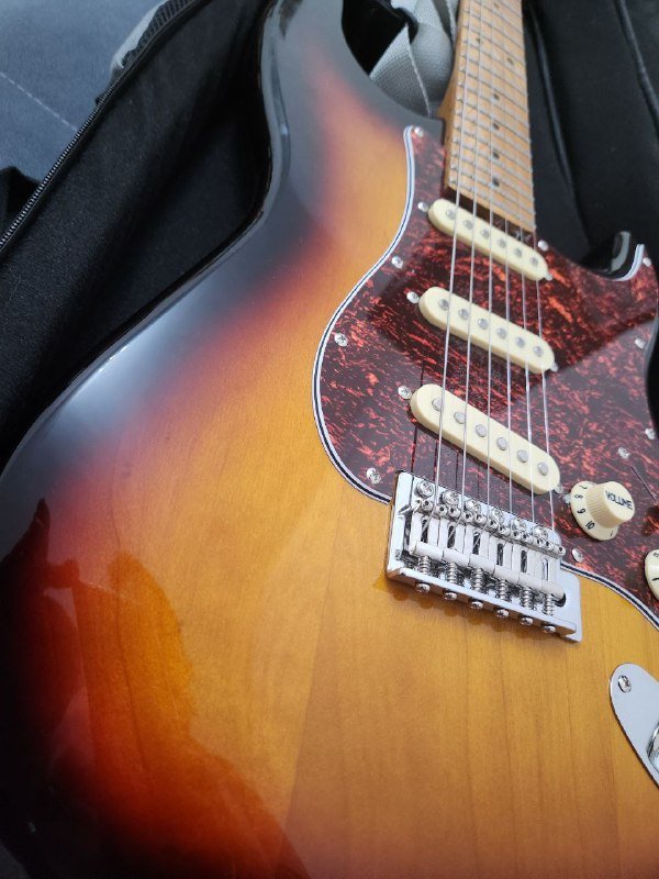 Электрогитара ZET с утеплённым чехлом 3