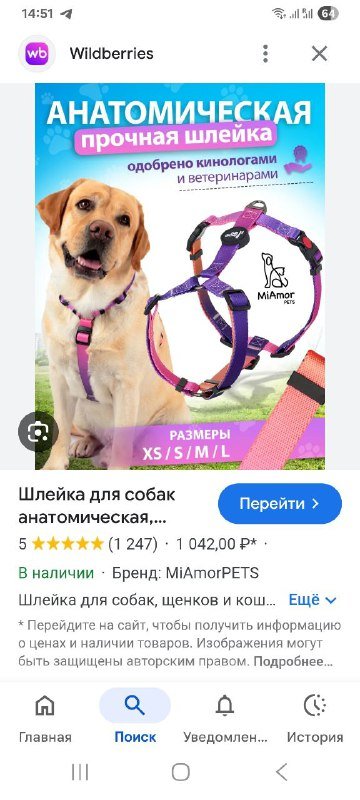 Анатомическая шлейка для собаки размер M 3