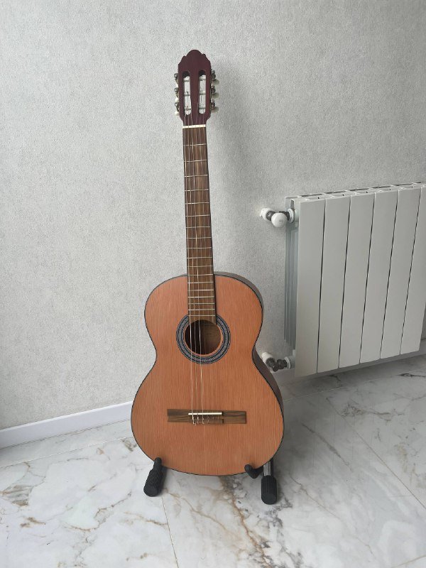 Гитара с чехлом и подставкой