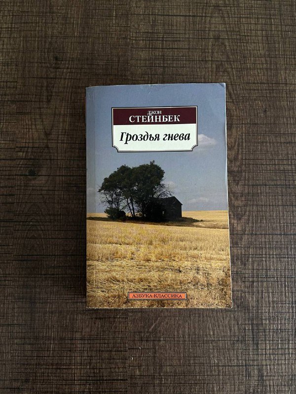 Книги Джанет Уолс и Джон Стейнбек 3