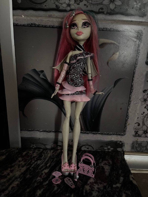 Кукла Monster High Рошель с аксессуарами