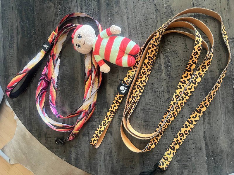 Поводок для собак 3 метра, контейнер для чистки лап, контейнер с кульками