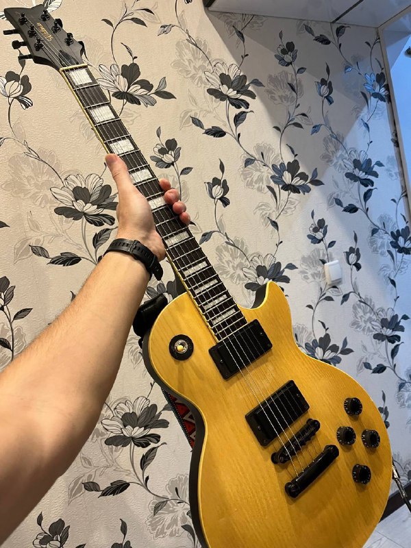 Электрогитара Waldman LP, комбик Marshall MG15GFX, кабель 2