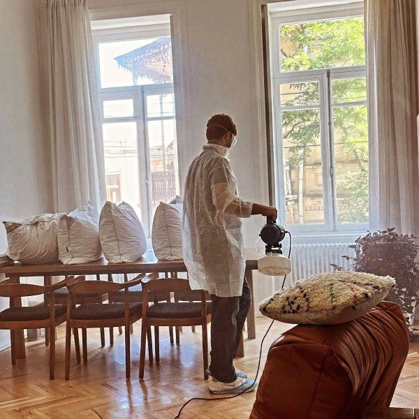 პესტ კონტროლი, დეზინსექციის მომსახურება