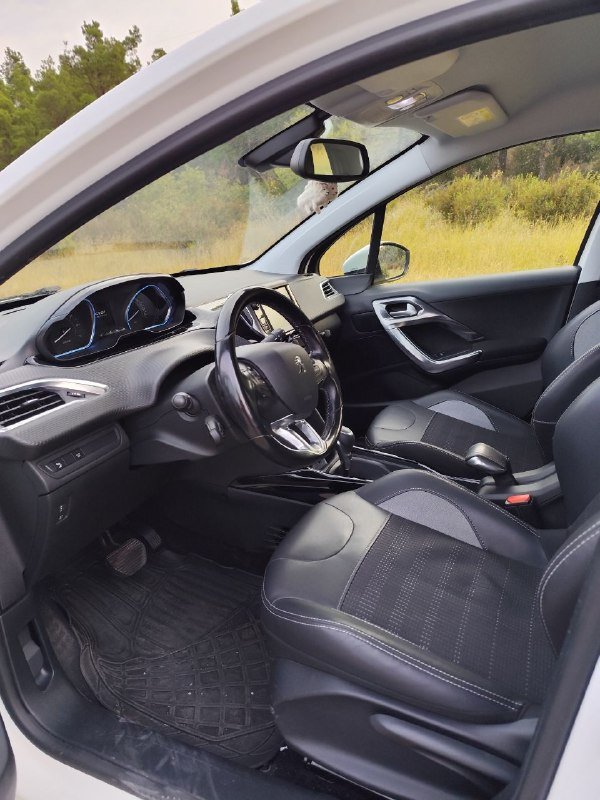 Peugeot 2008 2017 4