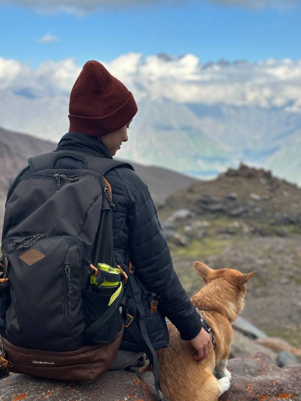 Рюкзак для походов QUECHUA 30L 8