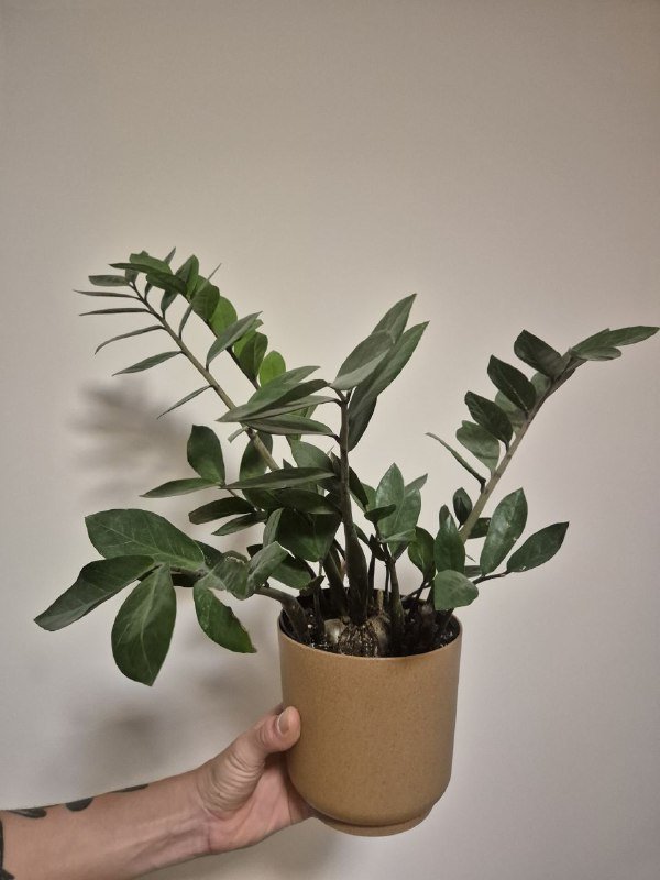 Проводная клавиатура, коврик 2