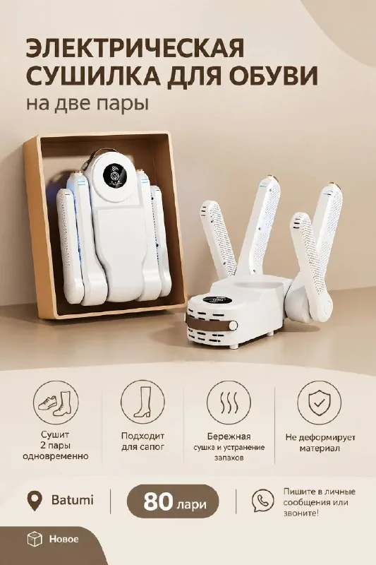 Electric shoe dryer