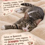 Kitten looking for a home 2