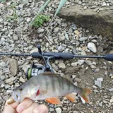 Spinning rod with two tips 6