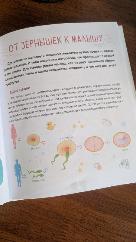 Детские книги: Сказки-минутки, Про это, На ферме, Медведик узнаёт цвета 7