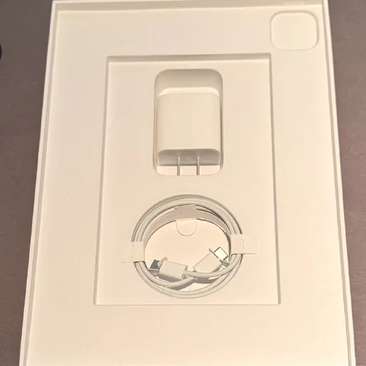 iPad Pro 11-inch 4th Gen, Apple Pencil 2, 2 TB, Wi-Fi + Cellular