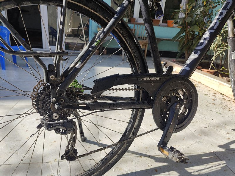 Pegasus bicycle 3