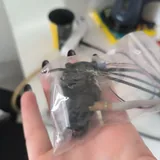Запчасти для 3D принтера, сопла, голова с вентилятором 2