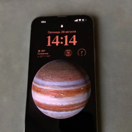 iPhone 13 Pro Max 256GB