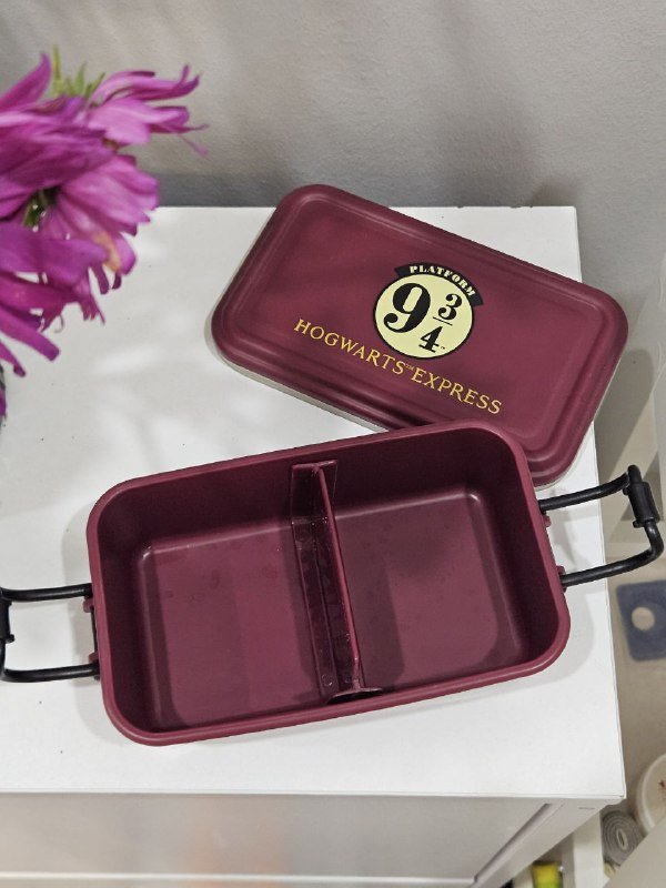 Контейнер для еды Гарри Поттер 500 мл 2