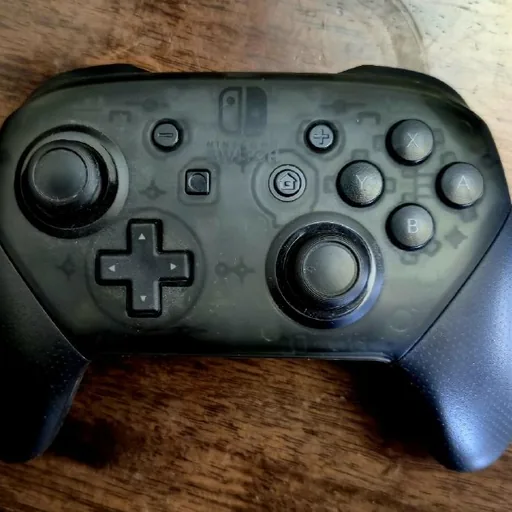 Nintendo Switch Pro Controller