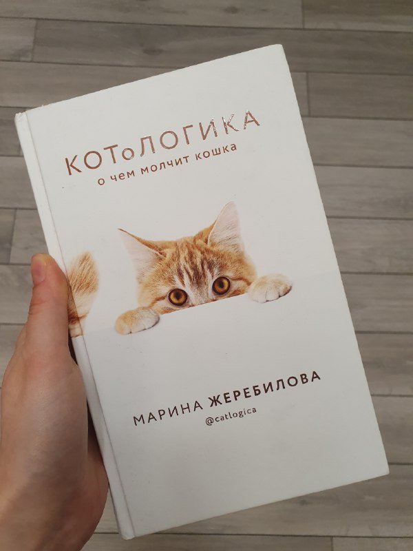 Котологика, Homo irrealis, К себе нежно, The Big Book of Pussy