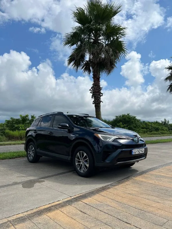 Toyota RAV4 Hybrid 2018 1