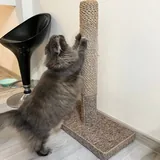 Когтеточка для кошки 1