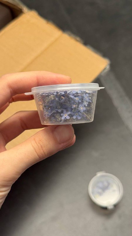 Розы в открытой упаковке 9