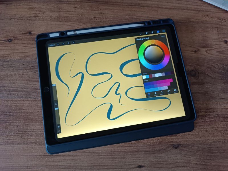 iPad Pro 12.9" Gen1 32/4Gb, Apple Pencil, чехол 2