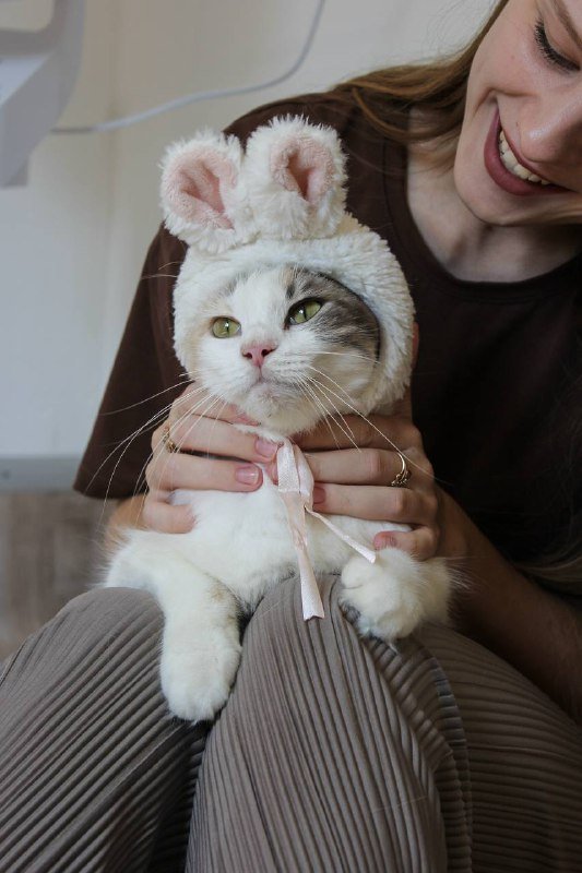 Кошка Джульетта для дома 5