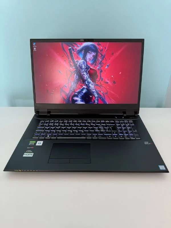 Ноутбук Clevo PB71RF Core i9 RTX 2070 64GB RAM SSD 1
