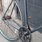 Bear Bike синглспид 6
