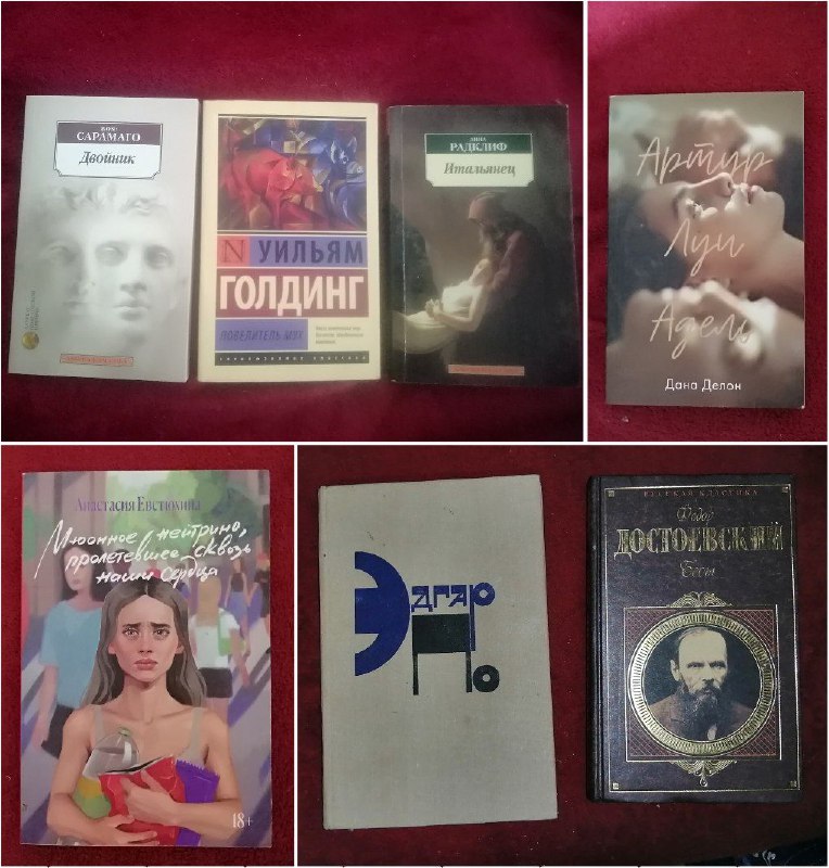 Книжки: Двойник, Повелитель мух, Итальянец, Артур, Луи и Адель, Мюонное нейтрино, сборник Эдгара Аллана По, Бесы